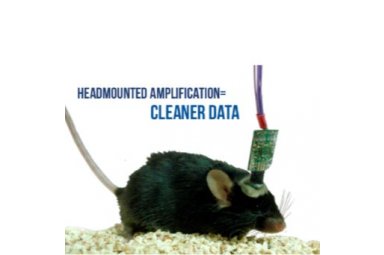 小动物脑电测量仪：大鼠脑电测量，小鼠脑电测量