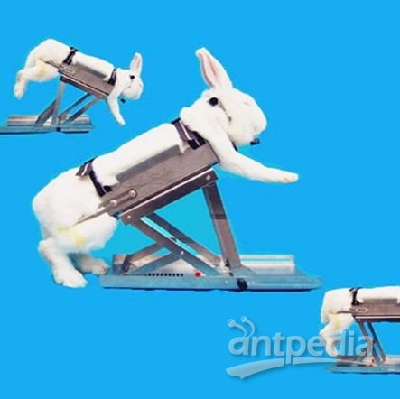 兔子固定器，兔固定架，家兔固定器