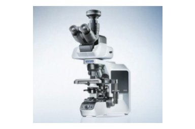 BX43 手动系统显微镜