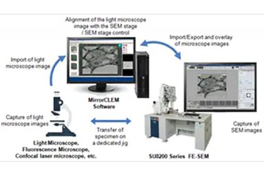 光-电联用显微镜法（CLEM）系统 MirrorCLEM