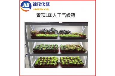 锦玟冷光源植物生长实验箱JMRC-600C-LED