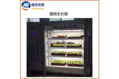 锦玟ZRX-680植物生长箱（带湿度控制）