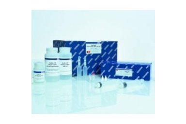 QuantiNova Probe RT-PCR Kit试剂盒