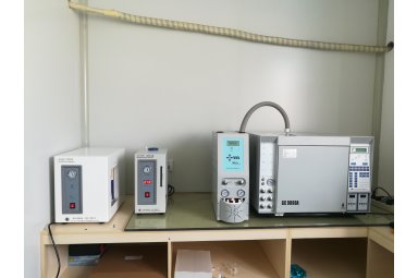 GC+HS 环氧乙烷（EO）检测专用色谱仪