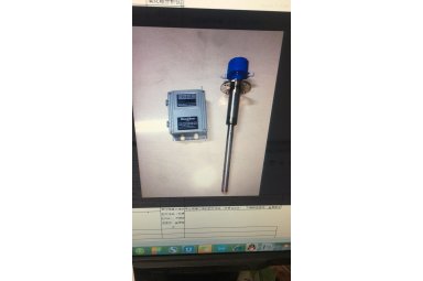 WZ直插式高温氧化锆检测器