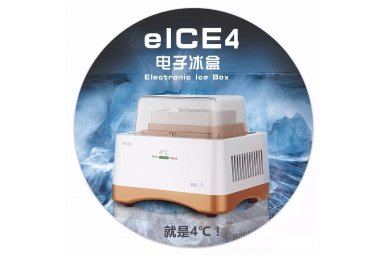 电子冰盒（Eelctronic lce Box）