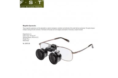 FST 28115-20眼镜式放大镜