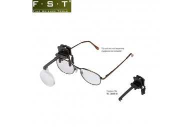 Eschenbach眼镜式放大镜 FST 28090-01