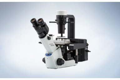 奥林巴斯显微镜CKX53OLYMPUS