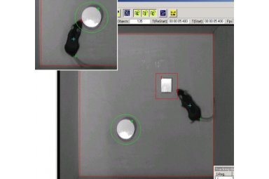 小鼠新物体识别箱系统