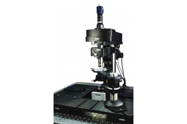 Scientifica MP-2000双光子显微镜