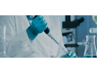 分子标记辅助育种与全基因组选择育种