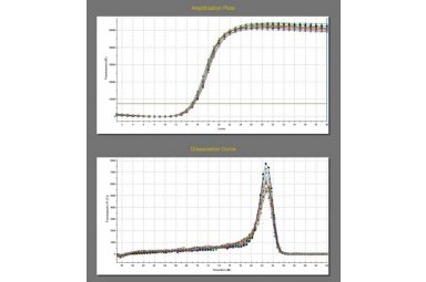 qPCR实验检测—原始数据、扩增、溶解曲线、数据分析、实验报告-溶出度测定实验报告