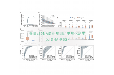 微量cfDNA简化基因组甲基化测序（cfDNA-RBS）
