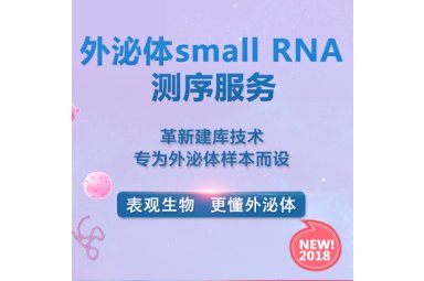 外泌体small RNA测序服务-外泌体检测