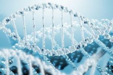 全基因组甲基化测序-全基因组甲基化测序有rna污染影响大吗