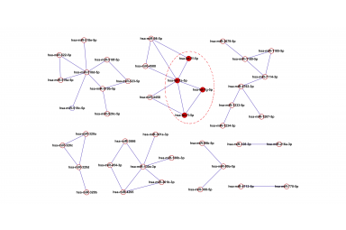 miRNA-miRNA-correlation Network-mirna-mirna-correlation network