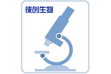 免疫荧光技术（IF）实验外包服务周期