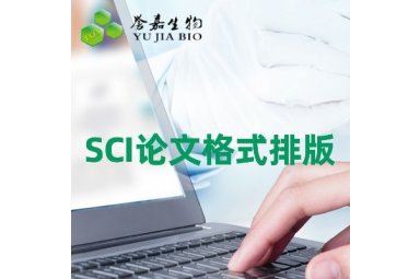 SCI论文格式排版服务