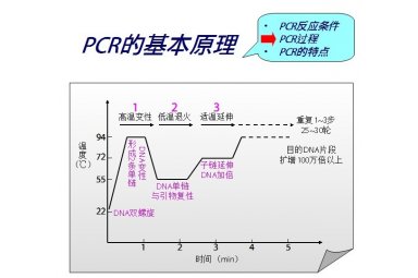 QPCR/Realtime PCR/RT-PCR检测服务
