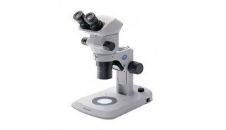 常规体视显微镜