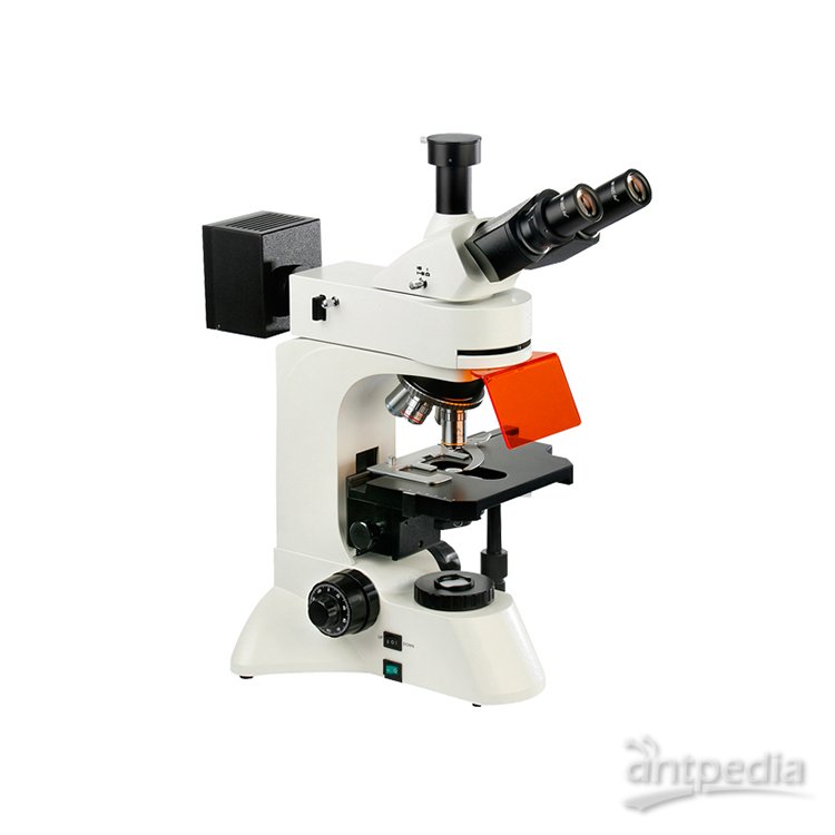 落射荧光显微镜