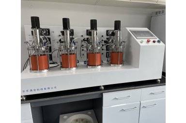  实验室厌氧发酵罐 厌氧沼气发酵罐 厌氧产气系统