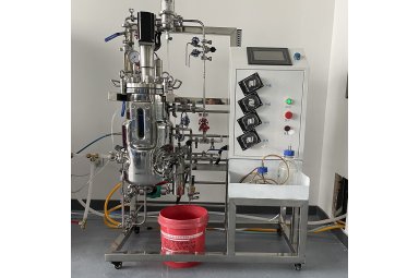  200L机械搅拌不锈钢发酵罐 实验室发酵罐 生物发酵罐