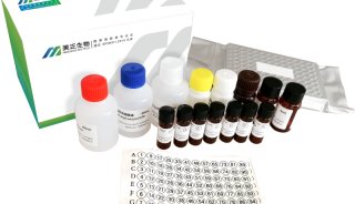 美正阪崎肠杆菌核酸检测试剂盒（PCR-探针法）