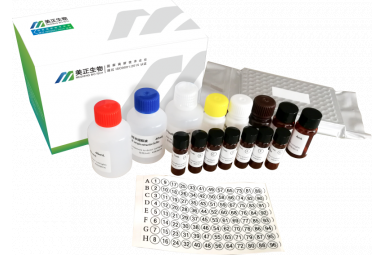 美正阪崎肠杆菌/沙门氏菌核酸检测试剂盒（PCR-探针法）