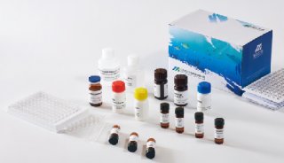 美正氧氟沙星ELISA检测试剂盒 适用测畜禽、水产等组织样本