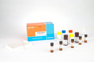 美正T-2毒素ELISA快速检测试剂盒 适用饲料成品及饲料原料