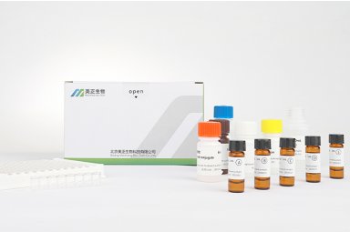 美正叶酸（维生素B9）检测试剂盒 适用乳粉