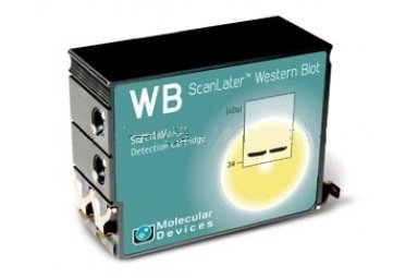 Western Blot 检测系统ScanLater Molecular Devices