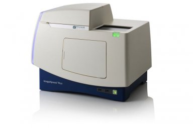 美谷分子 双标记表达分析 ImageXpress Pico自动化细胞成像分析系统