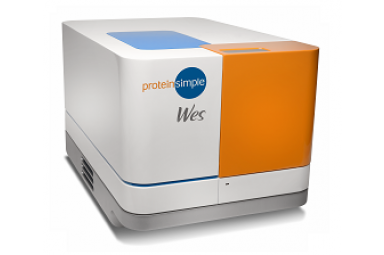 Wes 全自动蛋白质印迹定量分析系统