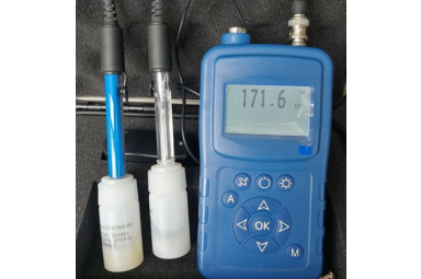 LZ-YT便携式pH/ORP检测仪 