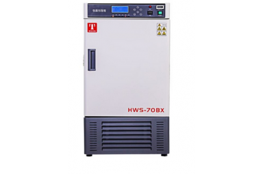 电热恒温培养箱DH209L