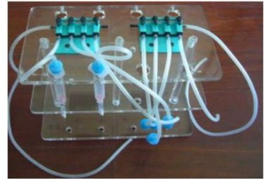 PriboFast®泵流操作架/免疫亲和柱操作架
