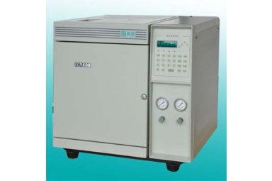 GC9800型气相色谱仪（实用型）