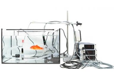 鱼类与水生生物呼吸测量系统