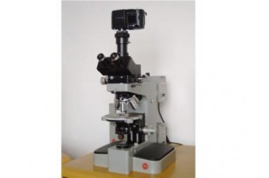 LEITZ OTHOLUX-II POL 偏光显微镜