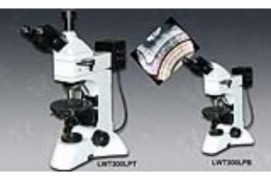 LWT300LPT/B透反偏光显微镜