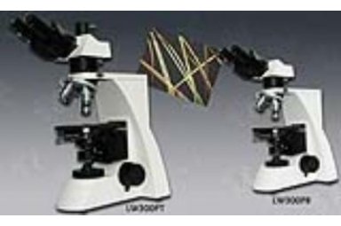 LW300PT/B透射偏光显微镜