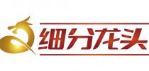 热辣滚烫 <em>细分</em><em>龙头</em> 抢占先机 决胜风口