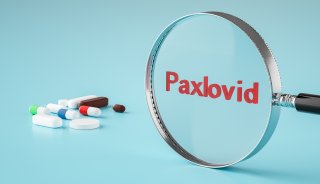 新冠特效药-paxlovid