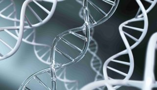 DNA-基因-生命科学