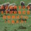 农业部种羊及羊毛羊绒质量监督检验测试中心（乌鲁木齐）