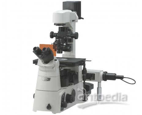 尼康Eclipse TI-U荧光倒置显微镜