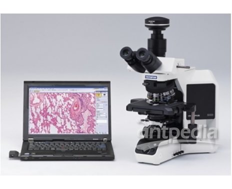 奥林巴斯BX53生物显微镜/半电动荧光显微镜
